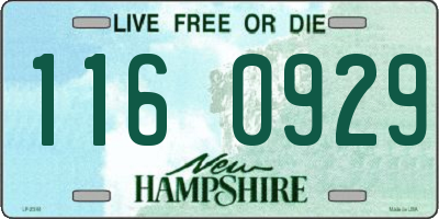 NH license plate 1160929