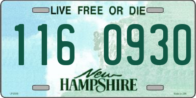 NH license plate 1160930
