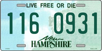 NH license plate 1160931