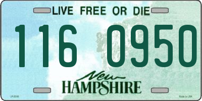NH license plate 1160950