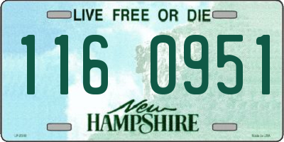 NH license plate 1160951