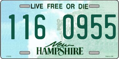 NH license plate 1160955