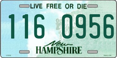 NH license plate 1160956