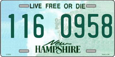 NH license plate 1160958