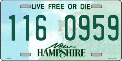NH license plate 1160959