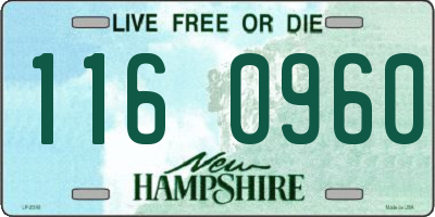 NH license plate 1160960