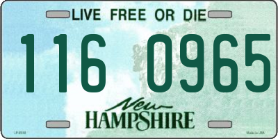 NH license plate 1160965