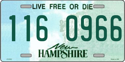 NH license plate 1160966