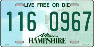 NH license plate 1160967