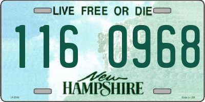 NH license plate 1160968