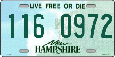NH license plate 1160972