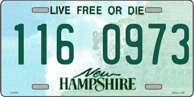 NH license plate 1160973