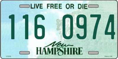NH license plate 1160974
