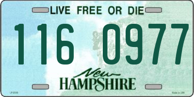 NH license plate 1160977