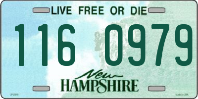 NH license plate 1160979