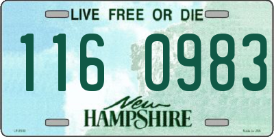 NH license plate 1160983