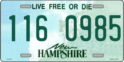 NH license plate 1160985