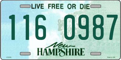 NH license plate 1160987