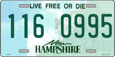 NH license plate 1160995