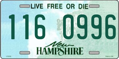 NH license plate 1160996