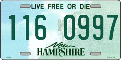 NH license plate 1160997