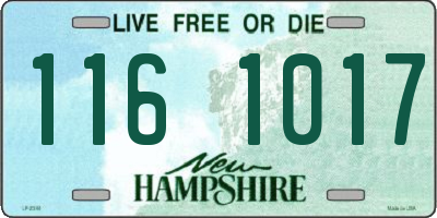 NH license plate 1161017