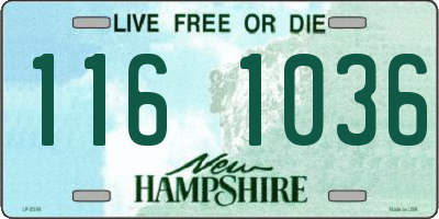 NH license plate 1161036