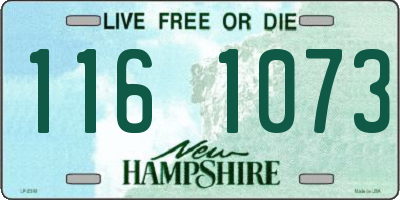 NH license plate 1161073