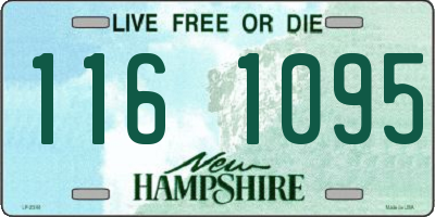 NH license plate 1161095