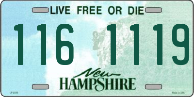 NH license plate 1161119
