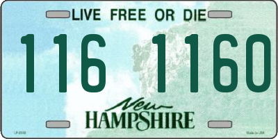 NH license plate 1161160