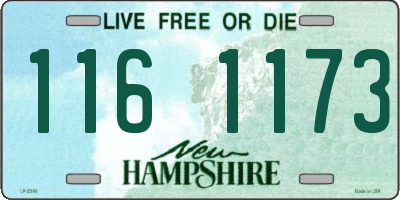 NH license plate 1161173