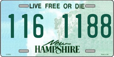 NH license plate 1161188