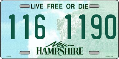 NH license plate 1161190