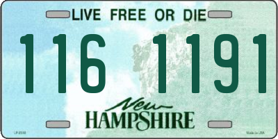 NH license plate 1161191