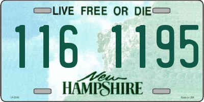 NH license plate 1161195