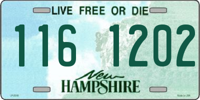 NH license plate 1161202