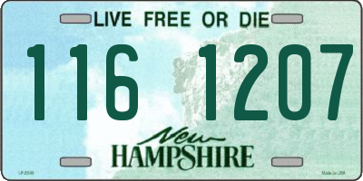 NH license plate 1161207