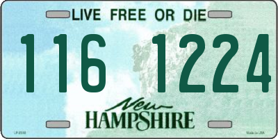 NH license plate 1161224