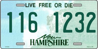 NH license plate 1161232