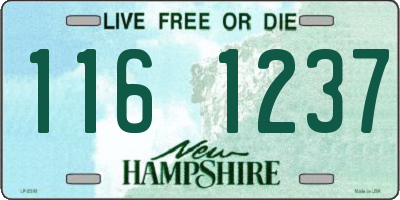 NH license plate 1161237