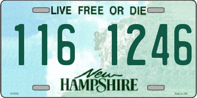 NH license plate 1161246