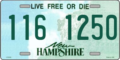 NH license plate 1161250
