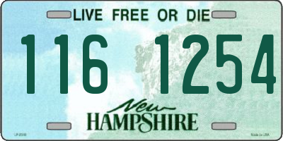 NH license plate 1161254