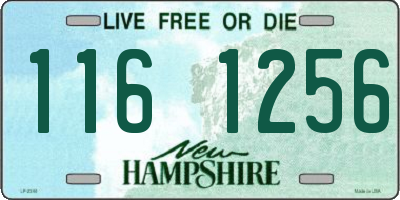NH license plate 1161256