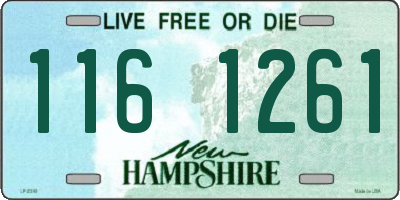 NH license plate 1161261