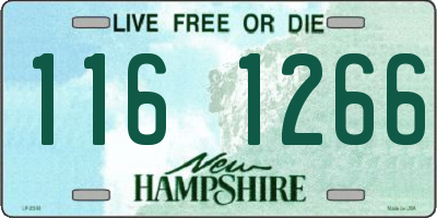 NH license plate 1161266