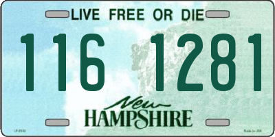 NH license plate 1161281
