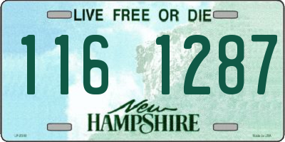 NH license plate 1161287