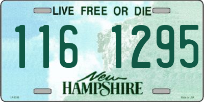 NH license plate 1161295